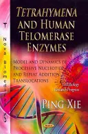 Tetrahymena és humán telomeráz enzimek - A processzív nukleotid- és ismétlődési addíciós transzlokációk modellje és dinamikája - Tetrahymena & Human Telomerase Enzymes - Model & Dynamics of Processive Nucleotide & Repeat Addition Translocations