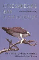 A Chesapeake-öböl torkolatának természete: A Field Guide - Chesapeake Bay Nature of the Estuary: A Field Guide