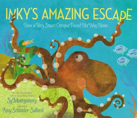 Inky csodálatos szökése: Hogyan talált haza egy nagyon okos polip - Inky's Amazing Escape: How a Very Smart Octopus Found His Way Home