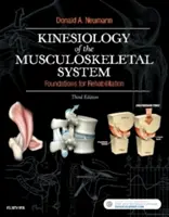 A mozgásszervi rendszer kineziológiája: A rehabilitáció alapjai - Kinesiology of the Musculoskeletal System: Foundations for Rehabilitation