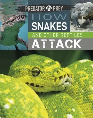 Ragadozó kontra zsákmány: Hogyan támadnak a kígyók és más hüllők - Predator vs Prey: How Snakes and other Reptiles Attack