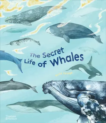 A bálnák titkos élete - The Secret Life of Whales