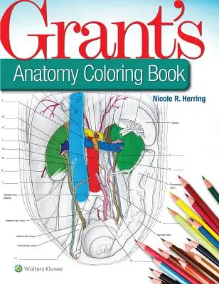 Grant anatómia színezőkönyv - Grant's Anatomy Coloring Book