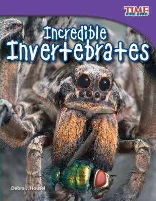 Hihetetlen gerinctelenek - Incredible Invertebrates