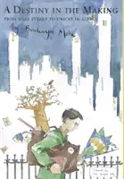 Egy készülő sors: A Wall Streettől az afrikai Unicefig - A Destiny in the Making: From Wall Street to Unicef in Africa