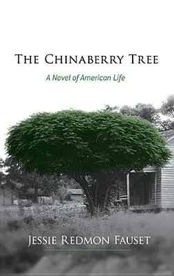 A csincsabogyófa: Az amerikai élet regénye - The Chinaberry Tree: A Novel of American Life