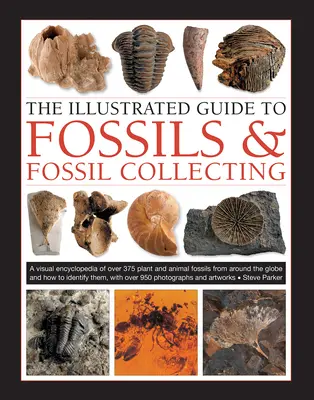 A kövületek és a kövületgyűjtés illusztrált útmutatója: A Reference Guide to Over 375 Plant and Animal Fossils from Around the Globe and How to Identify - The Illustrated Guide to Fossils & Fossil Collecting: A Reference Guide to Over 375 Plant and Animal Fossils from Around the Globe and How to Identify