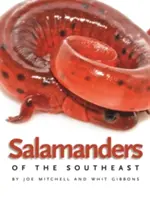 A délkeleti szalamandrák - Salamanders of the Southeast