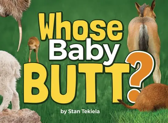 Kinek a babapopsija? - Whose Baby Butt?