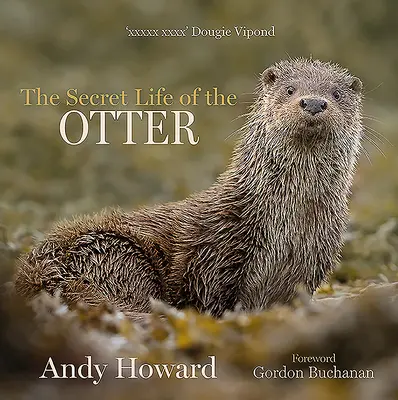 A vidra titkos élete - The Secret Life of the Otter