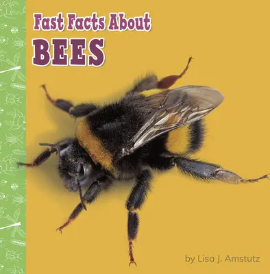 Gyors tények a méhekről - Fast Facts about Bees