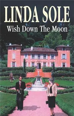 Wish Down the Moon