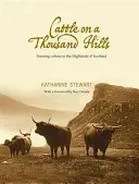 Szarvasmarha ezer dombon - Cattle on a Thousand Hills