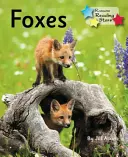 Rókák - Fonika 5. fázis - Foxes - Phonics Phase 5