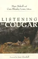 Cougar hallgatása - Listening to Cougar