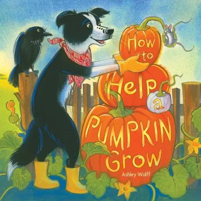 Hogyan segítsünk egy töknek növekedni - How to Help a Pumpkin Grow