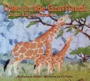 Odaát a füves területen: Egy afrikai szavannán - Over in the Grasslands: On an African Savanna