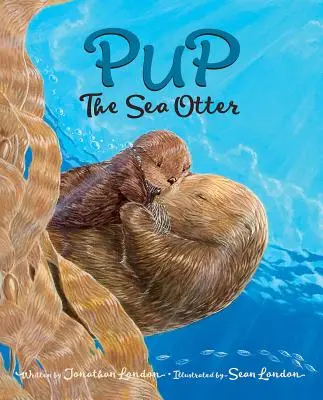 Pup a tengeri vidra - Pup the Sea Otter