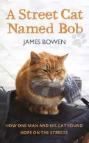 Bob nevű utcai macska - Hogyan talált reményt egy ember és a macskája az utcán - Street Cat Named Bob - How one man and his cat found hope on the streets