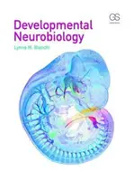 Fejlődési neurobiológia - Developmental Neurobiology