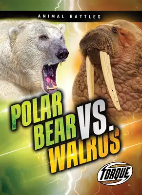 Jegesmedve vs. rozmár - Polar Bear vs. Walrus