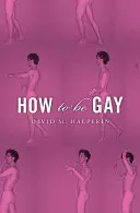 Hogyan legyünk melegek - How to Be Gay