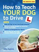 Hogyan tanítsd meg a kutyádat vezetni - How to Teach your Dog to Drive