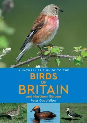 A természettudós útmutató Nagy-Britannia és Észak-Európa madaraihoz - A Naturalist's Guide to the Birds of Britain & Northern Europe