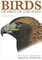 Nyugat ragadozó madarai: A Field Guide - Birds of Prey of the West: A Field Guide