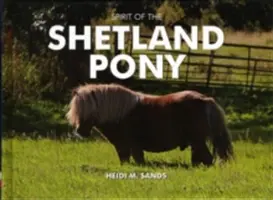 A shetlandi póni szelleme - Spirit of the Shetland Pony