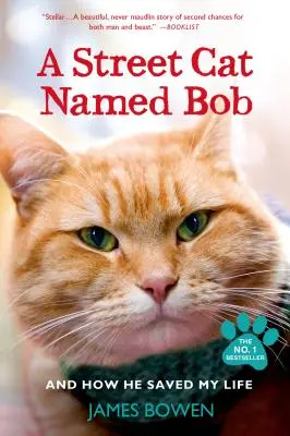 Egy Bob nevű utcai macska és hogyan mentette meg az életemet - A Street Cat Named Bob and How He Saved My Life