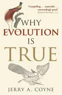 Miért igaz az evolúció (Coyne Jerry A. (A Chicagói Egyetem ökológia és evolúció professzora)) - Why Evolution is True (Coyne Jerry A. (Professor of Ecology & Evolution University of Chicago))