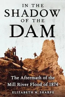 A gát árnyékában: Az 1874-es Mill-folyó áradásának utóhatásai - In the Shadow of the Dam: The Aftermath of the Mill River Flood of 1874