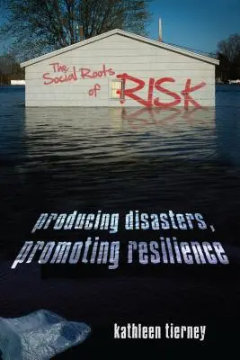 A kockázat társadalmi gyökerei: Katasztrófák előállítása, ellenálló képesség elősegítése - The Social Roots of Risk: Producing Disasters, Promoting Resilience