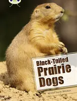 Bogárklub Független nem fikciós irodalom Második év Fehér B Feketefarkú prérikutya - Bug Club Independent Non Fiction Year Two White B Black-tailed Prairie Dogs