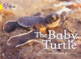 A teknősbéka - The Baby Turtle