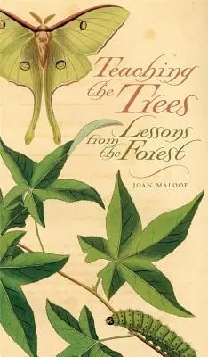 A fák tanítása: Lessons from the Forest - Teaching the Trees: Lessons from the Forest