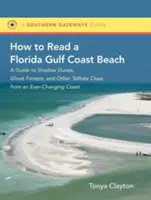 Hogyan olvassunk egy Florida-öbölparti strandon: A Guide to Shadow Dunes, Ghost Forest, and Other Telltale Clues from a Ever-Changing Coast - How to Read a Florida Gulf Coast Beach: A Guide to Shadow Dunes, Ghost Forests, and Other Telltale Clues from an Ever-Changing Coast