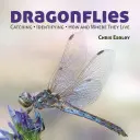 Dragonflies: Πώς και πού ζουν - Dragonflies: Catching - Identifying - How and Where They Live