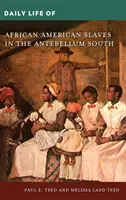 Az afroamerikai rabszolgák mindennapi élete a középkor előtti Délen - Daily Life of African American Slaves in the Antebellum South