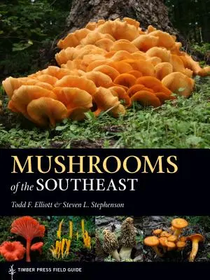 A délkeleti gombák - Mushrooms of the Southeast