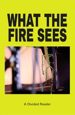 Amit a tűz lát: A Divided Reader - What the Fire Sees: A Divided Reader