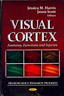 Látókéreg - Anatómia, funkciók és sérülések - Visual Cortex - Anatomy, Functions & Injuries