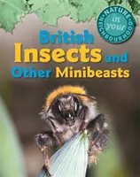 Természet a szomszédságodban: Brit rovarok és más apróállatok - Nature in Your Neighbourhood: British Insects and Other Minibeasts