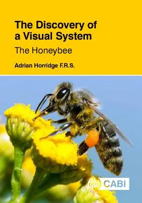 Egy vizuális rendszer felfedezése - A méhész - The Discovery of a Visual System - The Honeybee