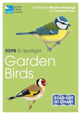 Rspb Id Spotlight - Kerti madarak - Rspb Id Spotlight - Garden Birds