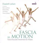 Fascia in Motion: Fascia-fókuszú mozgás a Pilateshez - Fascia in Motion: Fascia-Focused Movement for Pilates