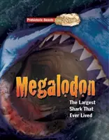 Megaladon - Őslényeket fedeztek fel - A valaha élt legnagyobb cápa - Megaladon - Prehistoric Beasts Uncovered - The Largest Shark That Ever Lived