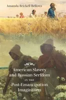 Amerikai rabszolgaság és orosz jobbágyság a felszabadulás utáni képzeletben - American Slavery and Russian Serfdom in the Post-Emancipation Imagination