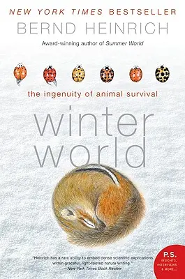 Téli világ: Az állati túlélés leleményessége - Winter World: The Ingenuity of Animal Survival